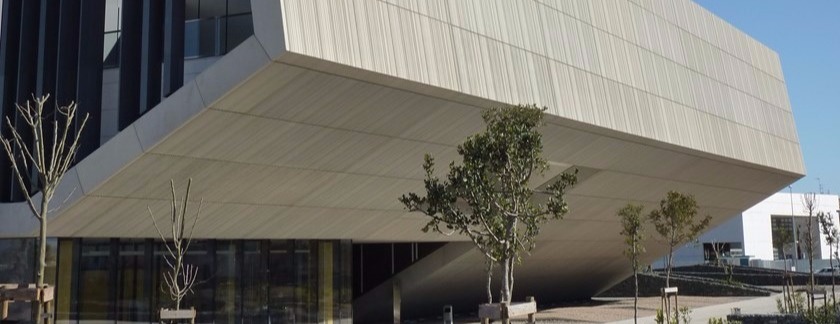 Birchply Film Faced Plywood